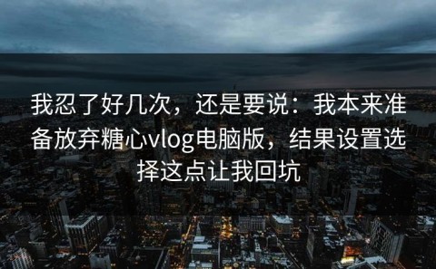 我忍了好几次，还是要说：我本来准备放弃糖心vlog电脑版，结果设置选择这点让我回坑