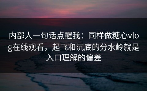 内部人一句话点醒我：同样做糖心vlog在线观看，起飞和沉底的分水岭就是入口理解的偏差