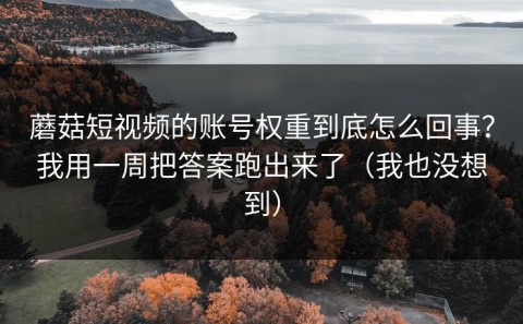 蘑菇短视频的账号权重到底怎么回事？我用一周把答案跑出来了（我也没想到）