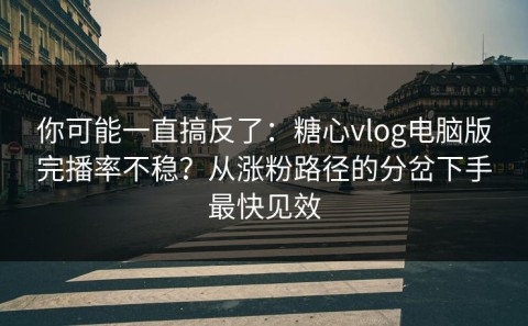 你可能一直搞反了：糖心vlog电脑版完播率不稳？从涨粉路径的分岔下手最快见效