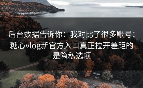 后台数据告诉你：我对比了很多账号：糖心vlog新官方入口真正拉开差距的是隐私选项